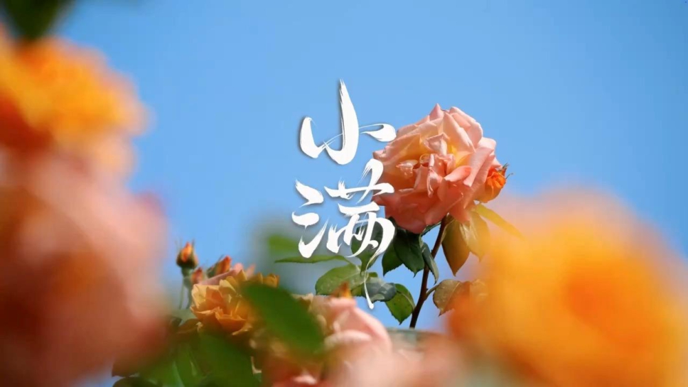 Ļйحӯ£չСʤȫ_2025-05-21_10_14_10.jpg