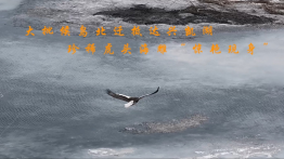 8738D3B0BE2B7940EC39519682C7432C.png