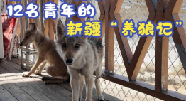 e218db14169cb71b25527219bd08fbd0.png