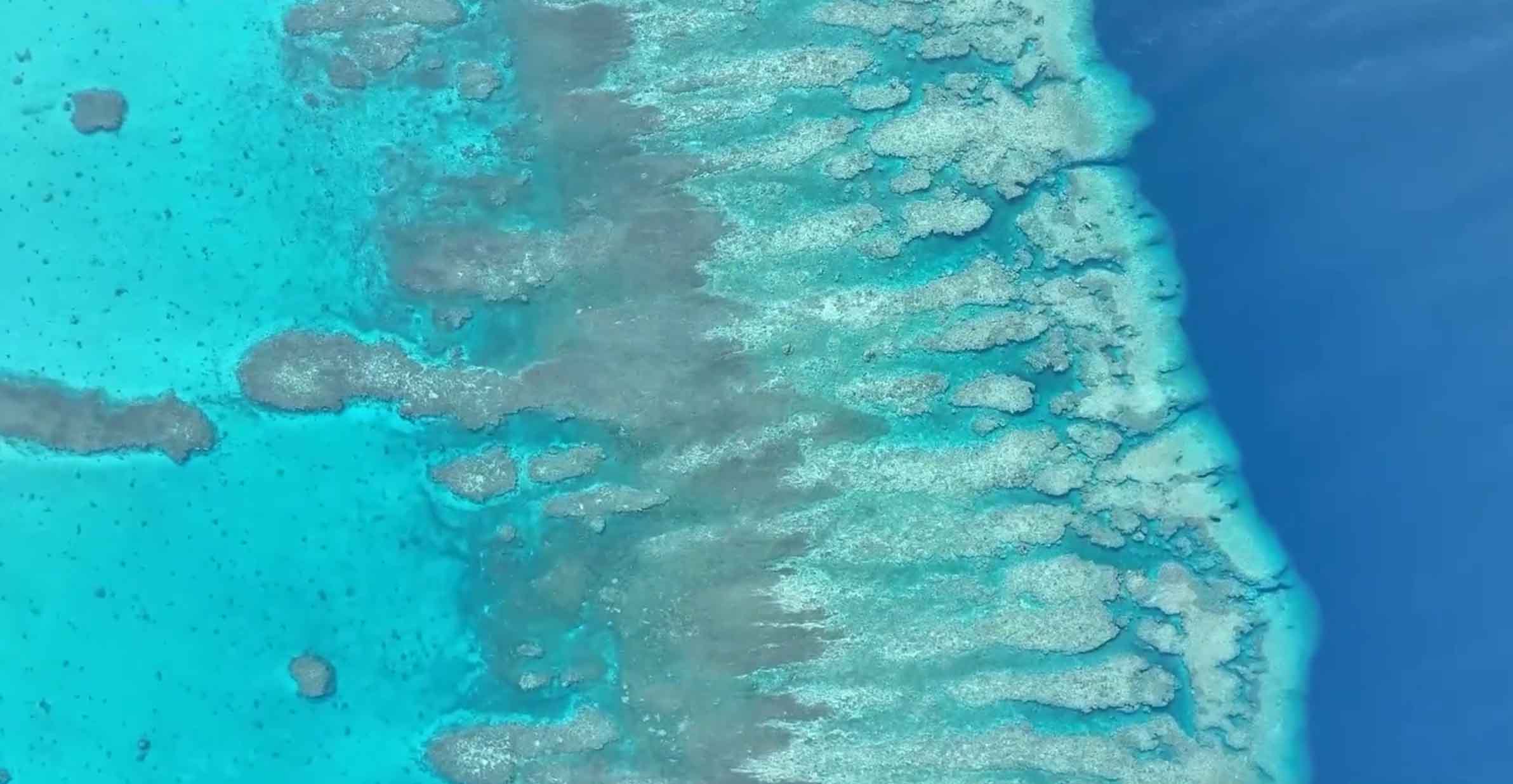 QQ20251229-103843 ����.jpg