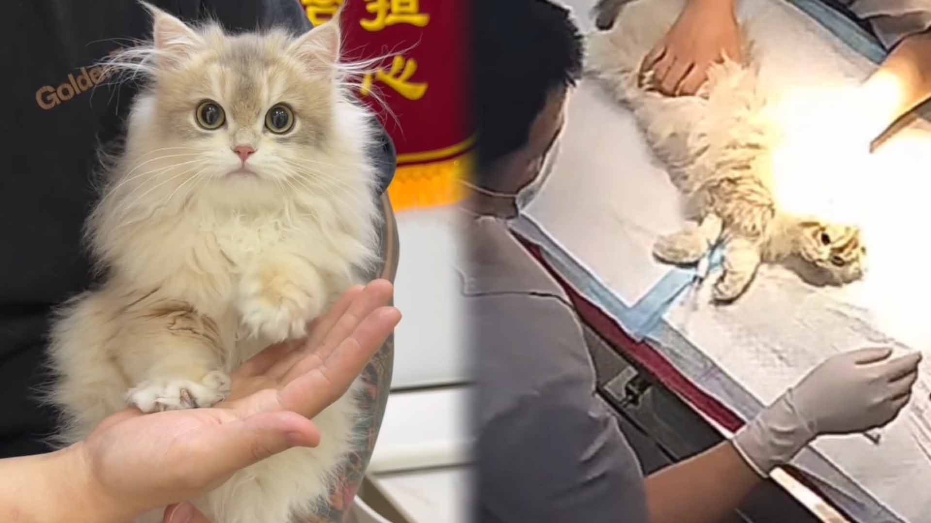 ΢��ͼƬ_20260316103526_3316_435 ����.jpg