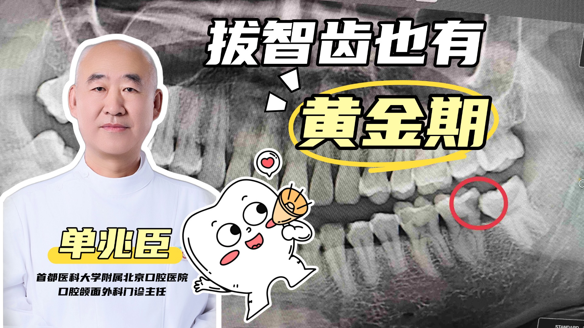 ֪ʶ��������С֪ʶ��������С������� (3).jpg