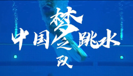 【高燃！#中国跳水队世锦赛百金英雄谱#】.jpg